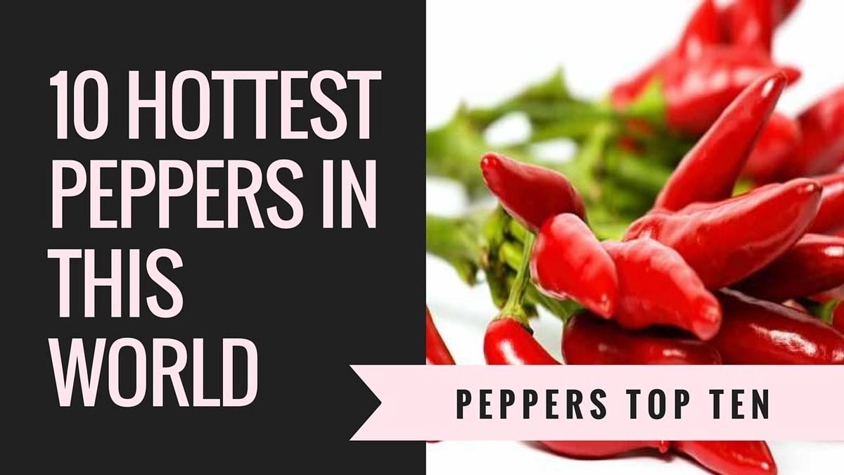 'Video thumbnail for Hottest chillis in the world'