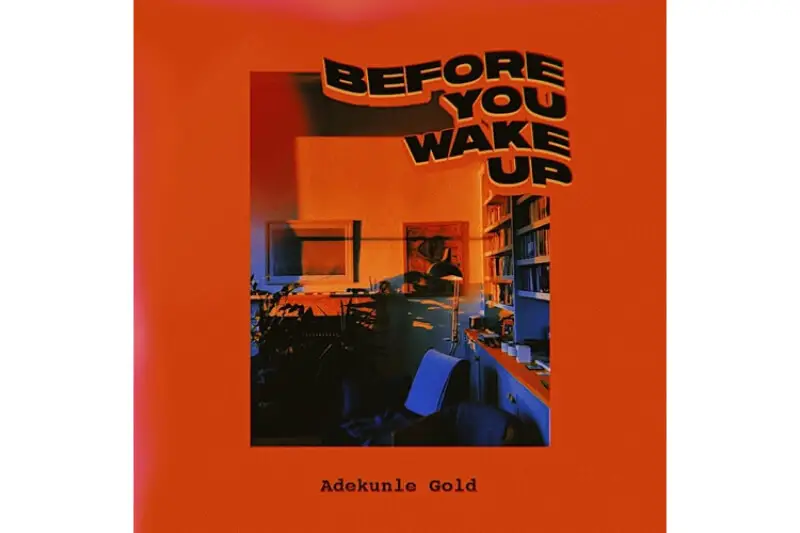 Adekunle Gold - Before You Wake Up