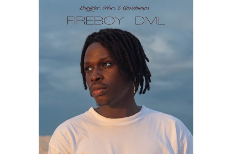 Fireboy DML - Laughter, Tears, and Goosebumps