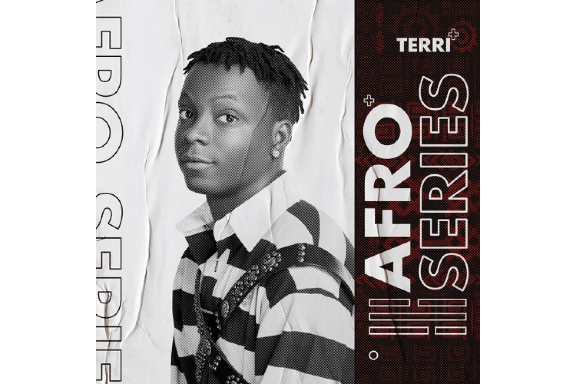 Terri - Afro Series