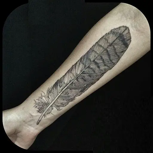 An example of a feather tattoo