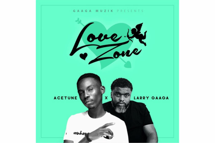 Acetune, Larry Gaaga - Love Zone