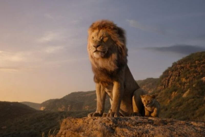'The Lion King' sequel in the works with director, Barry Jenkins