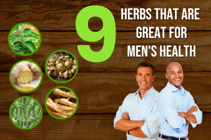 examples of herbs-that-are-great-for-men's-health
