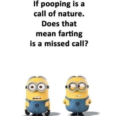 The Missed Call funny minion meme