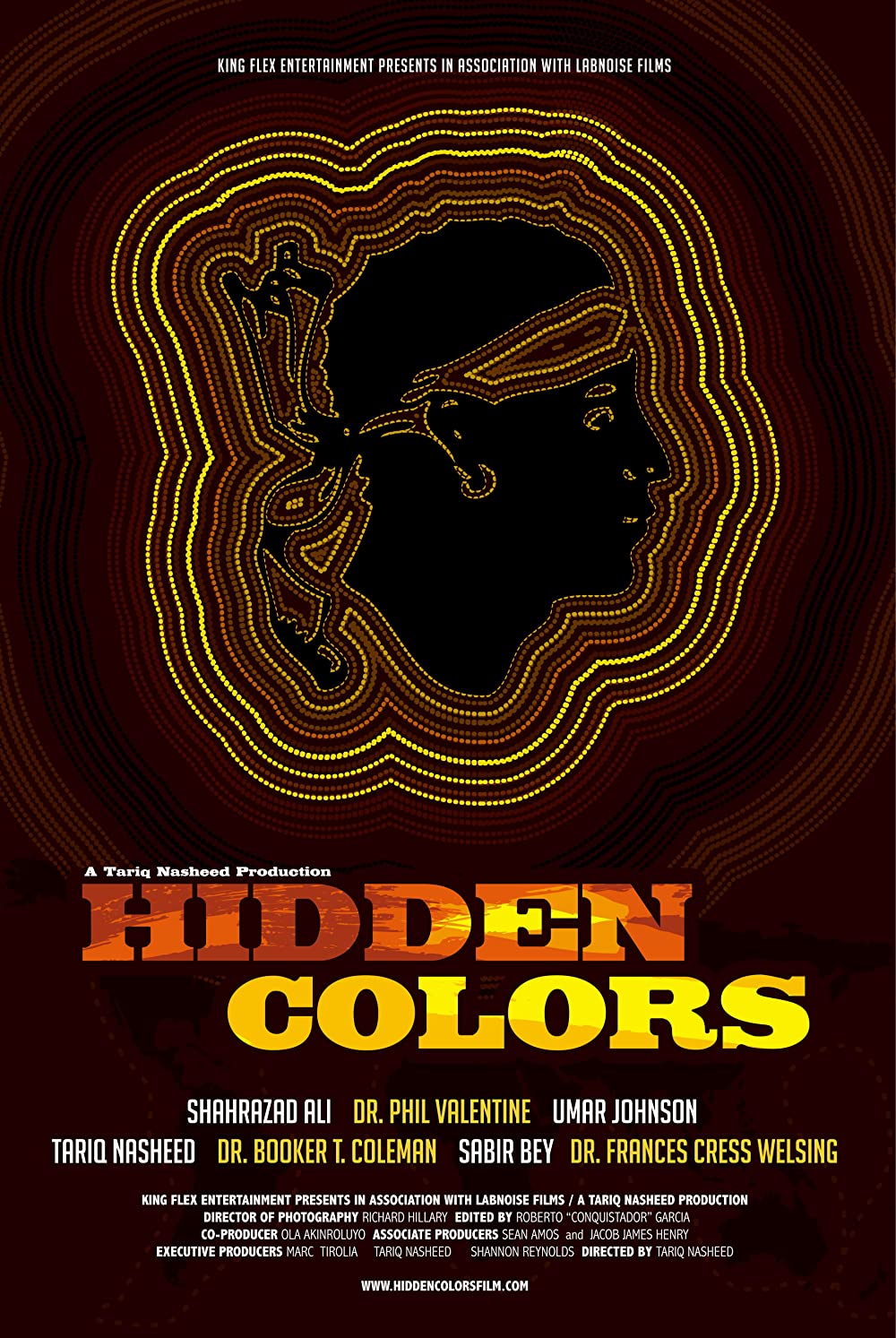Hidden Colors promotional poster