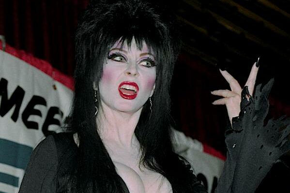 Elvira, Mistress of the Dark actress, comes out as gay