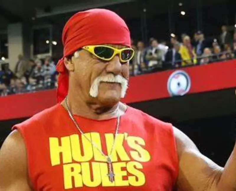 Hulk Hogan - Tiwa Savage & other celebrities whose leaked videos went viral