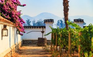 4 Delicious Reasons Why Wine-Lovers Should Visit Chile