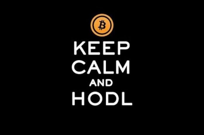 10 crypto slangs to know today - HODL