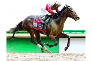 How has the internet changed horse racing and gambling?