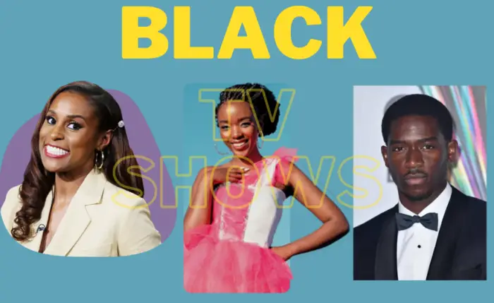 17 Best Black TV Series To Start Watching in 2022