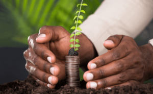 Tips on diversifying crypto investments, and why you should