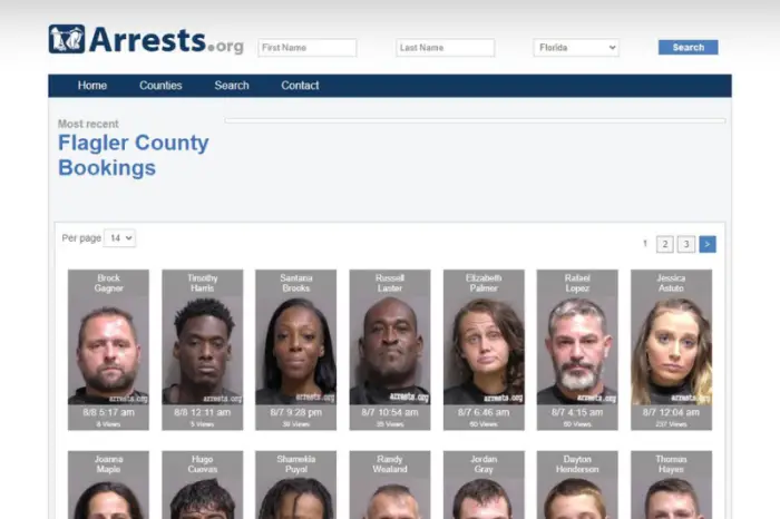 What Is Arrests.org? How to Use It and Alternatives