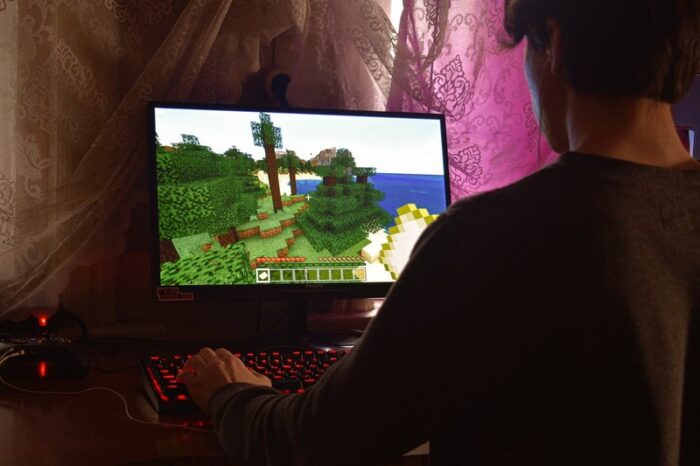 A guy playing game on PC