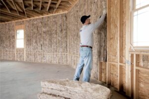 Insulation Choices for Home Renovation: Which Material Is Right for You?